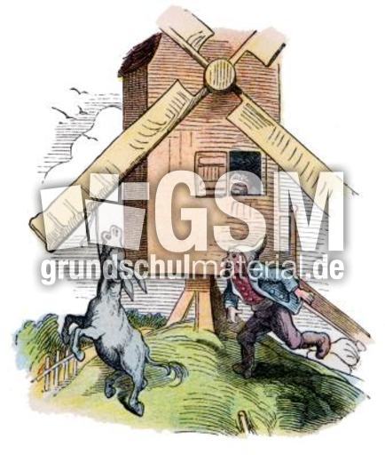 Bauer-Mueller 04.jpg